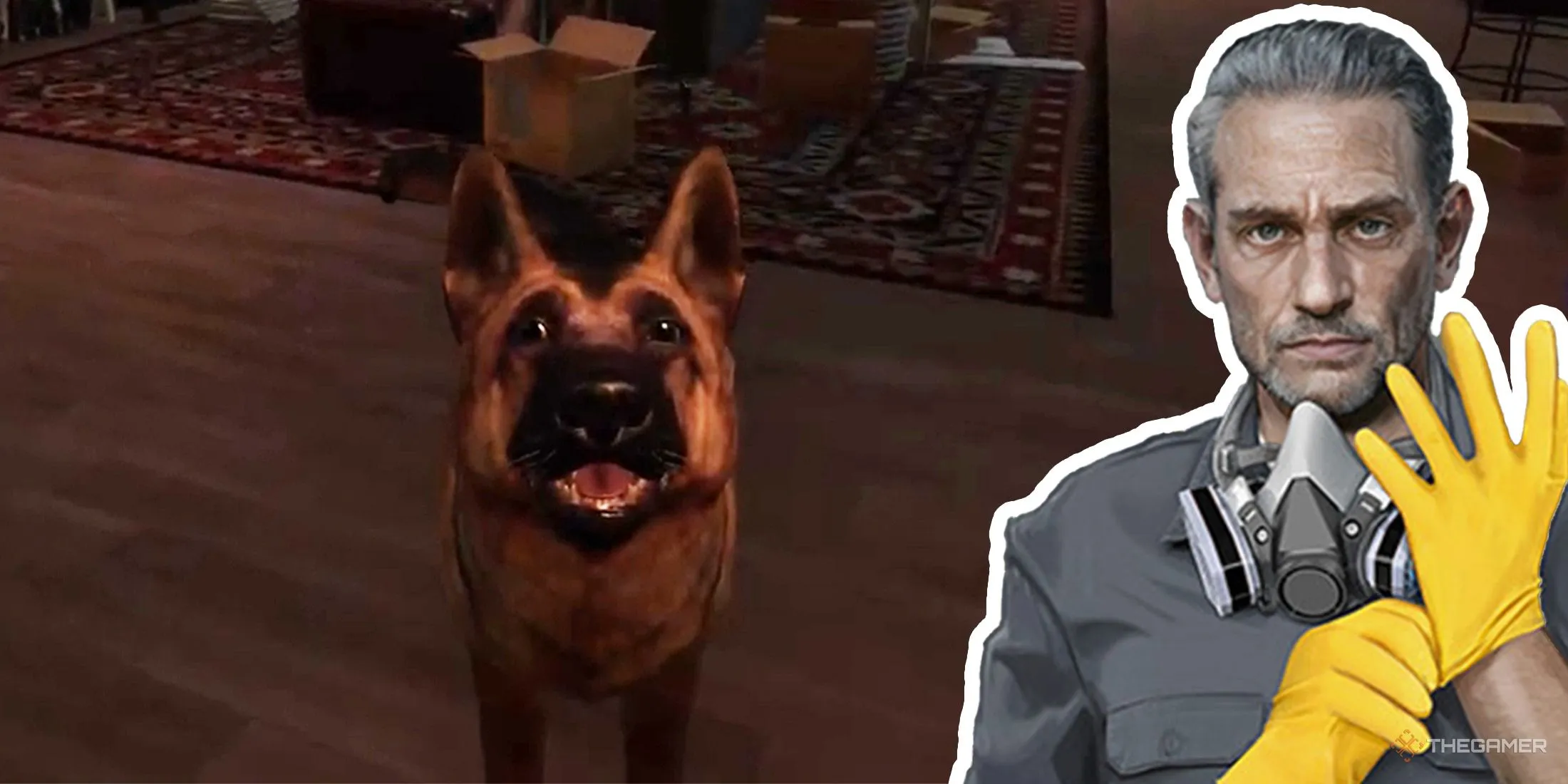 免费福利,骑士大胜期,号专家质合,亚博体育,亚博体育官网,亚博体育app,亚博体育下载